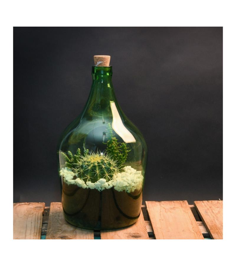 Open terrarium fles M 5L 19x19x33 cm groen
